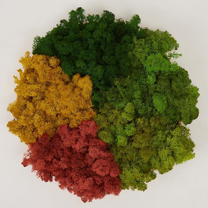 prefleur Preserved Reindeer Moss Natural Green DIY Kit Gardenning Art Wall Decor Florist Decor Easter Table Decor Wedding