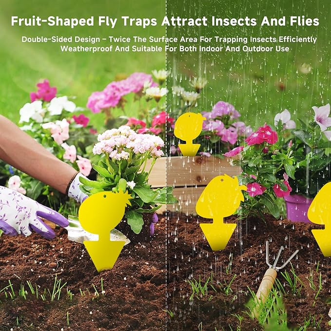Fruit Fly Trap & Fungus Gnat Traps 40 Pack – Yellow Sticky Gnat Traps for House Indoor & Outdoor Plants, Non-Toxic and Odorless Insect Bug Catcher