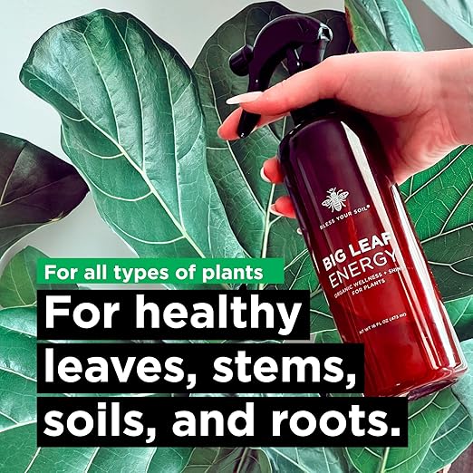 Plant Food + Neem Oil Spray for Plants : Seaweed-Rich Fertilizer for Leafy Houseplants and Organic Leaf Spray