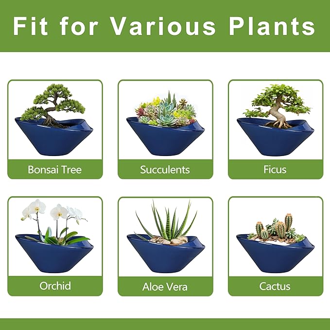 Teagas Bonsai Tree Pot 13 Inch - Ceramic Succulent Pots Large Bonsai Planter for Indoor Outdoor Plants Decorative Plant Pot with Drainage Hole Flower Pot for House Garden Room Home Decor Blue