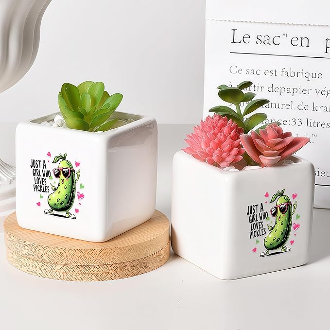 BJDAMAI Pickle Succulent Planter Flower Plant Pot Small, Gifts for Women Teens Girls Kids, Pickle Lovers Themed Stuff Accessories Things Decor Merch, Home Office Table Desk Decoration!