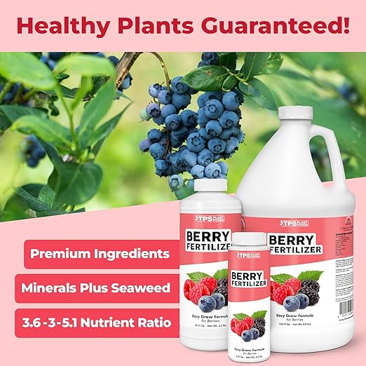 Berry Fertilizer, Complete Liquid Strawberry and Blueberry Plant Food, Great for All Berries, 8 oz (250mL)