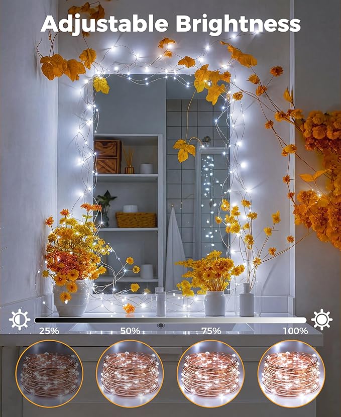 Plug-in Fairy Lights, 33 Ft 100 LED String Light with Remote, 8 Modes, Timer and Dimming Twinkle Lights for Indoor, Bedroom, Party, Decoration, Holiday, Cold White