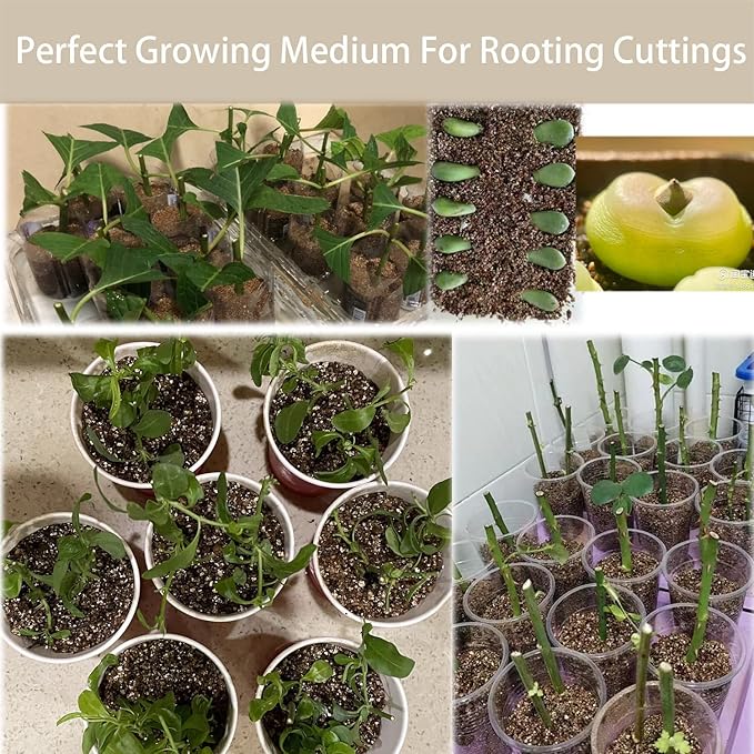 Natural Coarse Vermiculite 2QT for Plants Organic Occurring Mineral Potting Mix Medium for Potted Plants, Hydroponics, Terrariums, Orchids, Mushroom Or Reptile Habitats