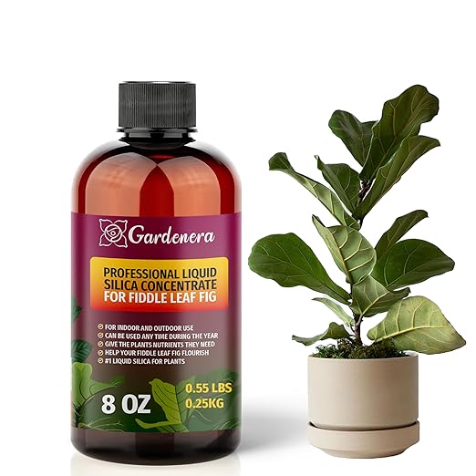 𝐏𝐑𝐄𝐌𝐈𝐔𝐌 Liquid Silica Plant Supplement - 8oz (250mL) - Fiddle Leaf FIG Plants Liquid Silica Boost Fertilizer - Stronger Stems & Healthy Leaves for Indoor & Outdoor Plants (Makes 45 Gallons)
