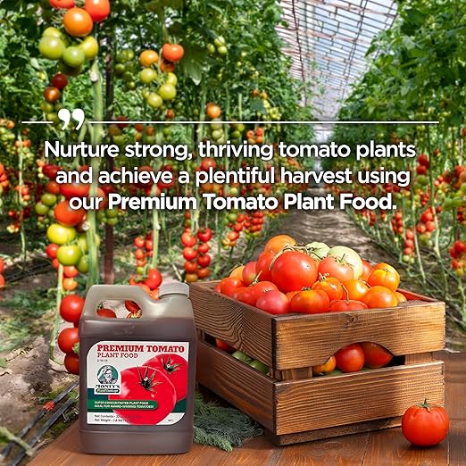 PlantVantage Concentrated Tomato Plant Food – Liquid Fertilizer with Humic Acid & Zinc, Liquid Plant Food Supporting Strong Roots, Bigger Blooms & Higher Yields, Easy Root Feed or Foliar Spray – 32 oz