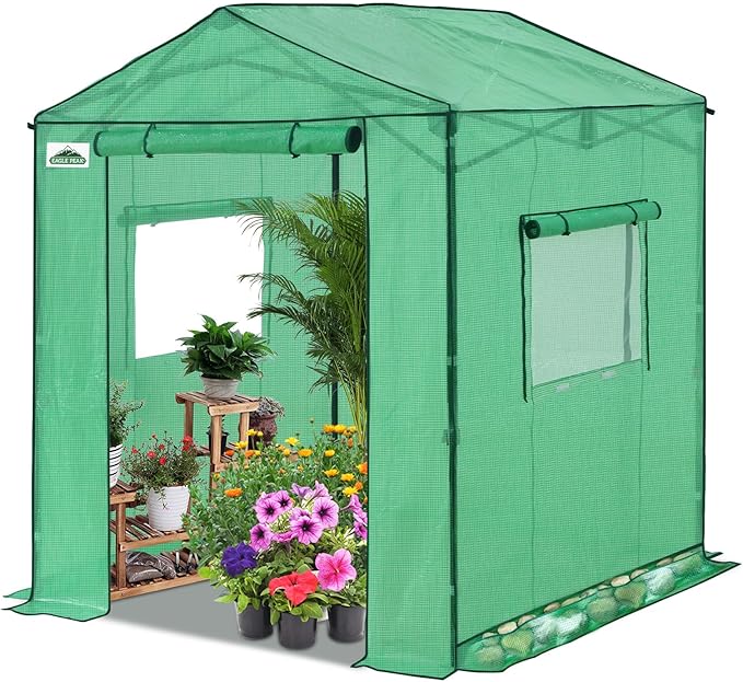EAGLE PEAK 6x6 Portable Pop Up Greenhouse, Patented Center Lock Easy One Person Setup, Walk-in Outdoor Greenhouse with Gable Roof, Weight Bags, Zippered Doors & Windows, Green