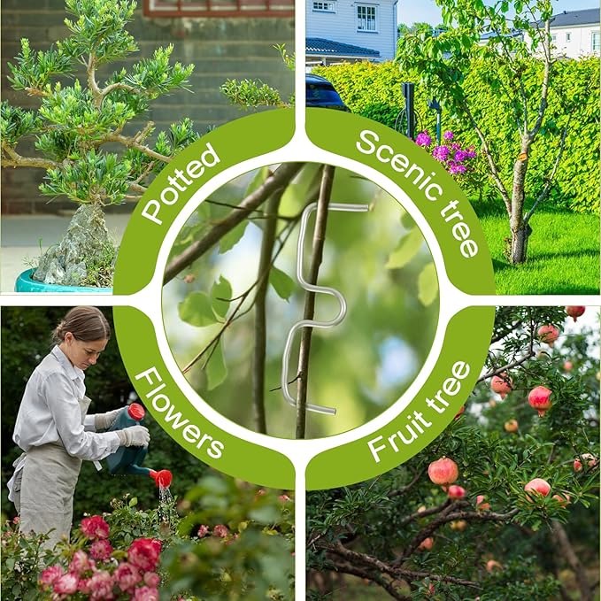 100 Pcs Fruit Tree Branch Puller, Stainless Steel Plant Tying Machine, Branch Spreader Shaping Tools New Plum Tree Open Angle Bending Clip for Orchards Bending Tool, M Size-4.14 Inch