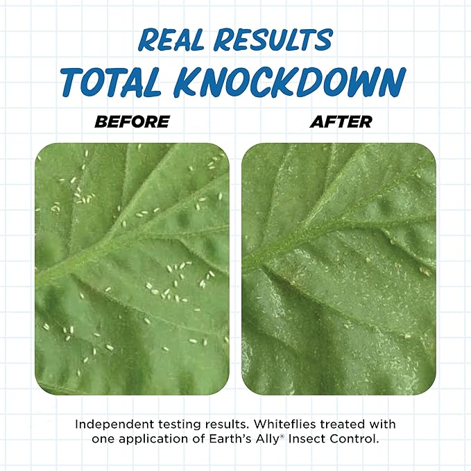 Earth's Ally Outdoor Indoor Plant Insecticide Spray - Ready-to-Use Insecticidal Soap for Plants - Non-Toxic Insect Repellent Pest Control for Spider Mite, Aphid, Mealybug - Bee, Pet, Kid Safe - 24 Oz