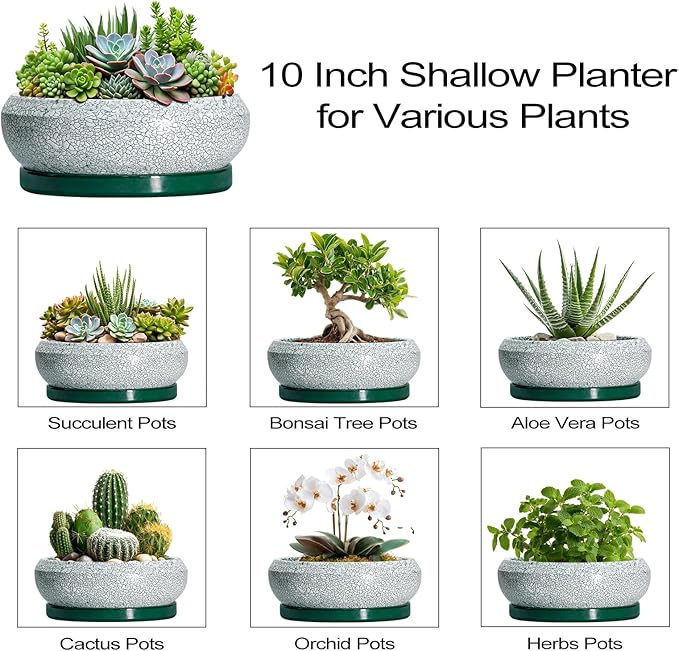 EPFamily Succulent Planters 10 Inch - Ceramic Bonsai Pots with Drainage Hole and Saucer, Large Succulent Pots Indoor, Shallow Planter, Round Bowl Planter Outdoor, Patio Decor, Plant Lover Gift, Green