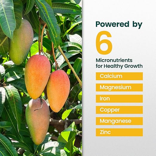 16oz Mango Fruit Tree Fertilizer - Makes 16 Gallons of Mango Tree Fertilizer for Mangoes, Nutrient-Rich Liquid Plant Food for Strong Roots, Lush Foliage, and Abundant, Juicy Mangos
