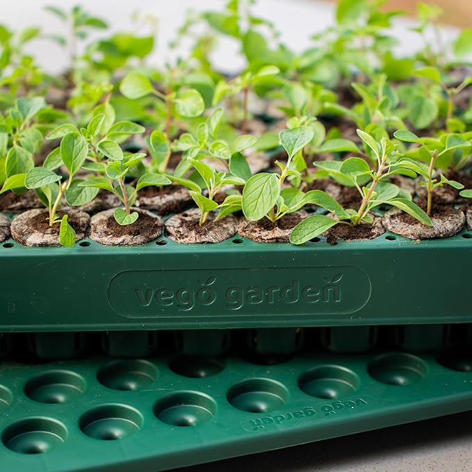 Vego garden Seedling Suite Products 10" x 20" 76 Cells Stackable Seed Starter Germination Tray with 3-in-1 Plant & Pop Board and 10" x 20" Bottom Watering Tray
