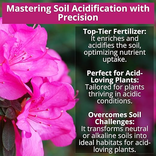 8-4-8 Acidic Fertilizer for Azaleas, Camellias (Camelia), Hydrangeas, Blueberries, Gardenias, Magnolia Trees, Evergreens, and Rhododendrons - Ideal Iron-Rich Plant Food (3 QUARTS)