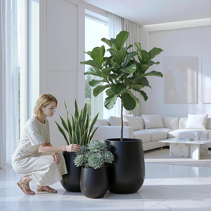 DTY Signature Mount Wilson Modern Indoor Outdoor Fiberstone Tapered Planter, Lightweight, Weather Resistant Garden Pot with Drainage Hole & Rubber Plug, Planter for Christmas Decor - Black, Medium