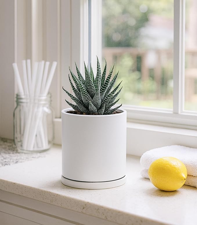 D'vine Dev Double-Layer Planter Set – Rotating Plastic Cachepot with Clear Inner Liner for Root Health, Perfect for Indoor Plants, 4.5", White, 73-U-A-1