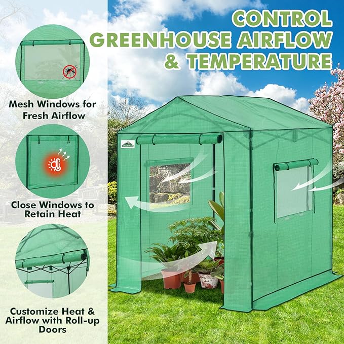EAGLE PEAK 6x6 Portable Pop Up Greenhouse, Patented Center Lock Easy One Person Setup, Walk-in Outdoor Greenhouse with Gable Roof, Weight Bags, Zippered Doors & Windows, Green