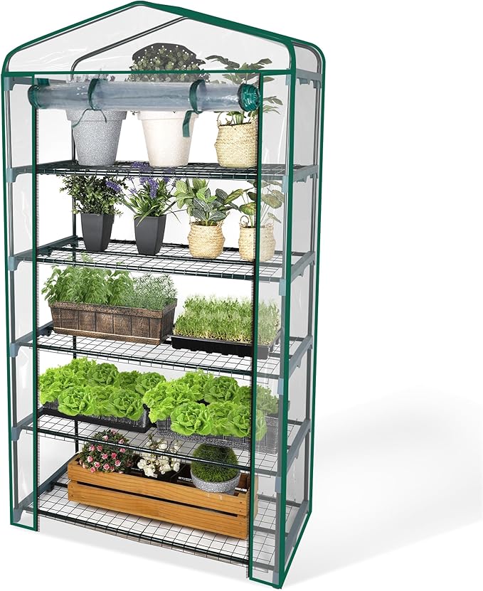 GreensWord Small Greenhouse for Outdoors, Indoor Mini Greenhouse with Plastic Cover, Portable 5 Tier Plant Shelves, Green Houses for Outside Backyard, Winter Plants Warmer, Green, 19″x40″x75″