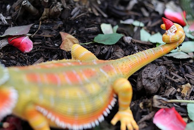 Mischievous Bearded Dragon Gnome - Funny Realistic Unique Garden Gnomes Massacre - Great Gardening Reptile Lizard Beardie Statue Figurine Decoration - Knome Lawn Ornament Figure Sculpture - 11"