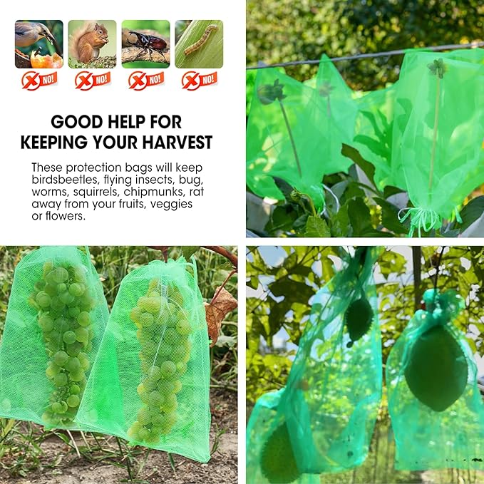 250 Pcs Fruit Protection Bags, 6.5×9 Inches Fruit Bags for Fruit Trees, Green Fruit Netting Bags Cover Bags Drawstring Mesh Fruit Protectors Pest Barrier for Tomato Mango Trees Veggies Garden