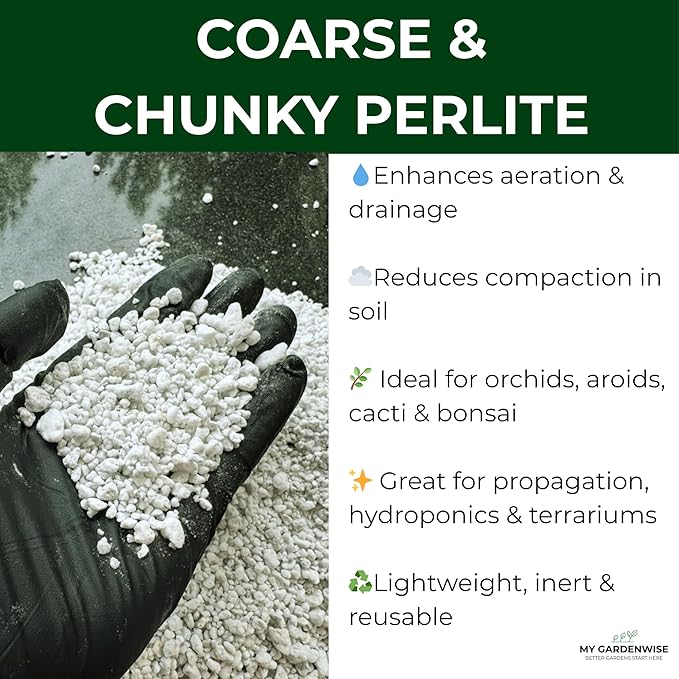 GARDENWISE Perlite for Plants, Coarse and Chunky Horticultural Perlite, Organic Perlite for Gardening Indoor & Outdoor, Perlite Bulk Bag, Made in USA (3 quarts)