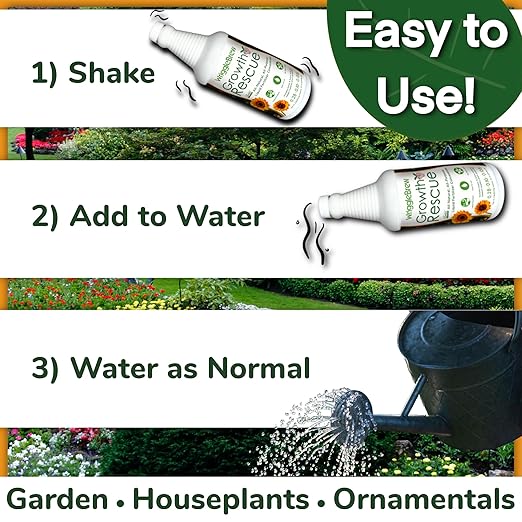 Wrigglebrew Organic Liquid Fertilizer Concentrate from Worm Castings. Non-toxic, All-Purpose, Plant Food for Gardens, Vegetables, Fruits, Houseplants, Seed Starters, and Ornamentals. (16 Fluid Ounces)