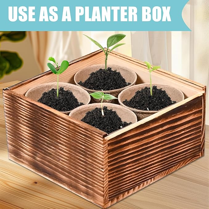 Sproutix Indoor Daisy Garden Starter Kit, 4 Flower Seeds Growing into Shasta Daisy, Cornflower, Sunflower, Zinnia, Including Complete Gardening Tools, Christmas Gifts for Women Men & Beginners