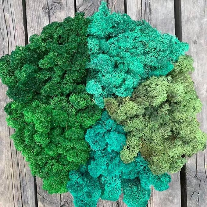 prefleur Preserved Reindeer Moss Natural Green DIY Kit Gardenning Art Wall Decor Florist Decor Easter Table Decor Wedding