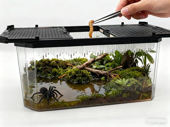 Reptile Terrarium,Tarantula Enclosure,Spider Tank Starter Kit,Leopard Gecko Container,Hermit Crab Habitat,Lizard Enclosure,Insect Housing,Jumping Spider Cage,Small Bearded Dragon Vivarium