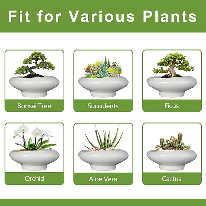 Teagas Bonsai Pots 13 Inch - Ceramic Succulent Pots with Drainage Hole Decorative Plant Pot Indoor Large Outdoor Planter Modern Flower Pot for Home Garden Office Room Decor Gray