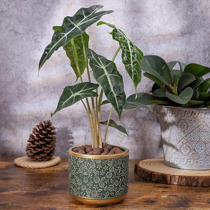 6 +4.4 Inch Cement Planter Decorative Pots with Drainage Hole for All House Plants, Succulents, Flowers, and Cactus (Green)