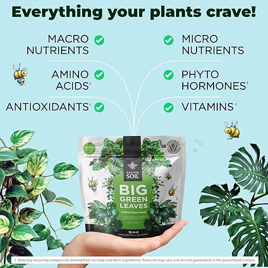 Plant Food + Neem Oil Spray for Plants : Seaweed-Rich Fertilizer for Leafy Houseplants and Organic Leaf Spray