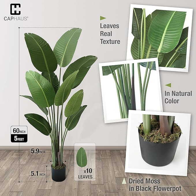 CAPHAUS 5FT Artificial Bird of Paradise Tree, UV Resistant Potted Fake Plant with Dried Moss for Indoor Outdoor Use, Realistic Floor Plant for Home Office Corner Decor, No Maintenance