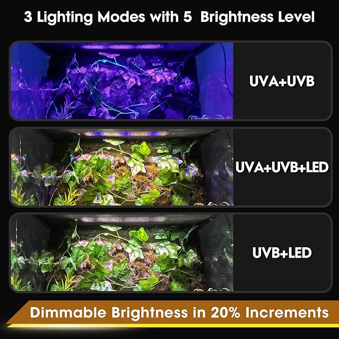 GeeKoit 12-Inch UVB Reptile Light,4H/8H/12H Timer,3 Modes Lighting,5 Level Brightness, 12W UVA UVB Lamp for Desert Tropical Animals Bearded Dragons Turtle Chameleon Tortoises Gecko Snake Frog