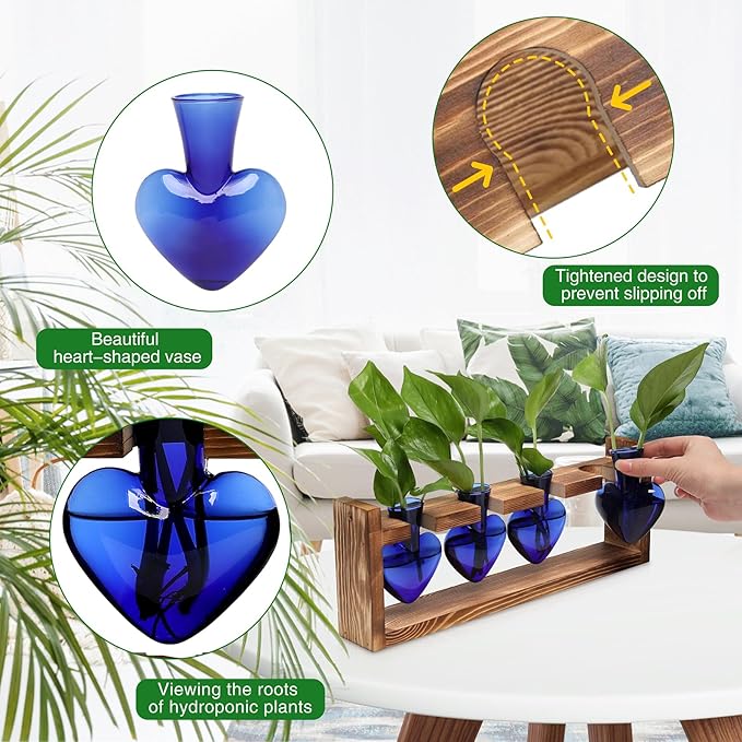 CYZglass Heart Plant Terrarium Kit Gift for Women Plant Lover Glass Vases