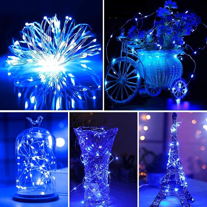 2 Pack Battery Operated Mini Led String Lights,Indoor Fairy Lights with Timer 6 Hours on/18 Hours Off for Halloween/Christmas Lighting Decorations,30 Count LEDs,10 Feet Silver Wire(Blue Color)
