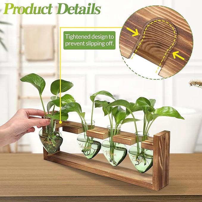 CYZglass Plants Propagation Stations Plant Terrarium Kit for Bathroom Glass Planters for Indoor Plants Bathroom Decor Accessories - Relax Soak Unwind Breathe