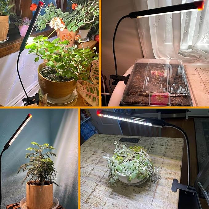 JINHONGTO 2Pack 9 Watt Clip Grow Lights for Indoor Plants with Timer, Mini Pot Plant Grow Light, Full Spectrum Small Bonsai Grow Light, Bright Enough Plant Growing Lamps