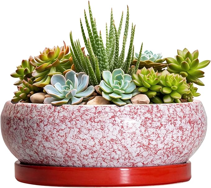 EPFamily Succulent Pots - 8 Inch Bonsai Pots for Indoor Outdoor, Shallow Ceramic Planter with Drainage Hole and Saucer, Round Flower Succulent Planters, Room Decor, Gifts for Plant Lovers, Red