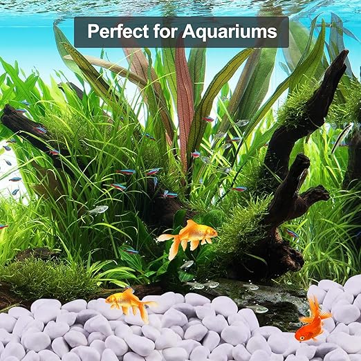 Lechloris 20Ib Snow White River Rock-Decorative Stones-Pebbles for Indoor Plants-Rocks for Outdoor Landscaping 1-2 inch High Polished Stones for Aquarium, Home Decor,Garden Decor