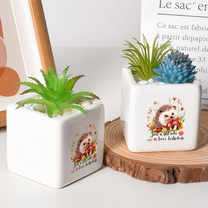 BJDAMAI Hedgehog Succulent Planter Flower Plant Pot Small, Gifts for Women Teens Girls Kids, Hedgehog Lovers Themed Stuff Accessories Things Decor Merch, Home Office Table Desk Decoration!