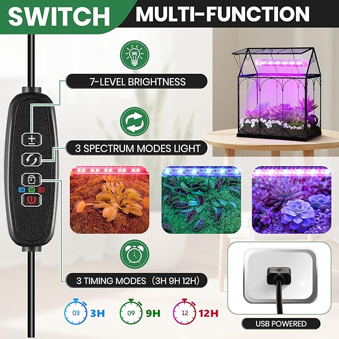 Meonum Tiny Glass Terrarium Kit with Grow Light, 7.1 x 4.7 x 8.7 Venus Fly Trap Terrarium with Absorbent Mat, Timer&3 Light Modes for Succulent Live Air Plants Indoor Home Office Decor (USB Powered)