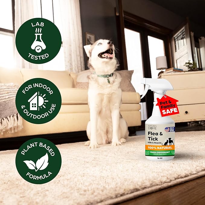 Nature’s Dome Outdoor Flea & Tick Spray – 16 oz – Kills & Repels Fleas, Ticks, Larvae & Eggs – Plant-Based Pest Control – Safe for Pets, Kids & Plants – Ready-to-User
