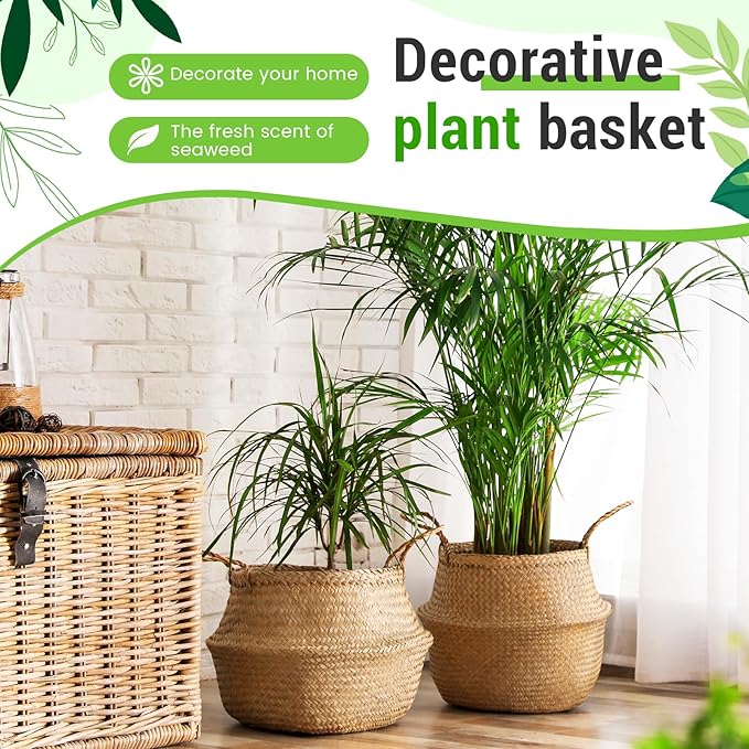 Large Wicker Plant Basket with Handle 10 Inch Woven Seagrass Belly Basket and Artificial Moss for House Plants Picnic Grocery Laundry Storage Home Decor(Large,Original,1 Pack)