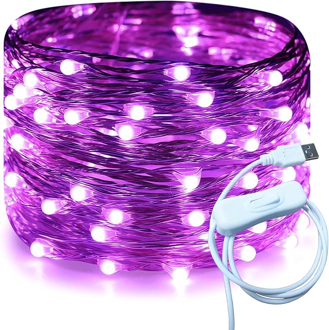RUICHEN Silver Wire 33 Ft 100 LED USB Fairy String Lights with On/Off Switch (Purple)