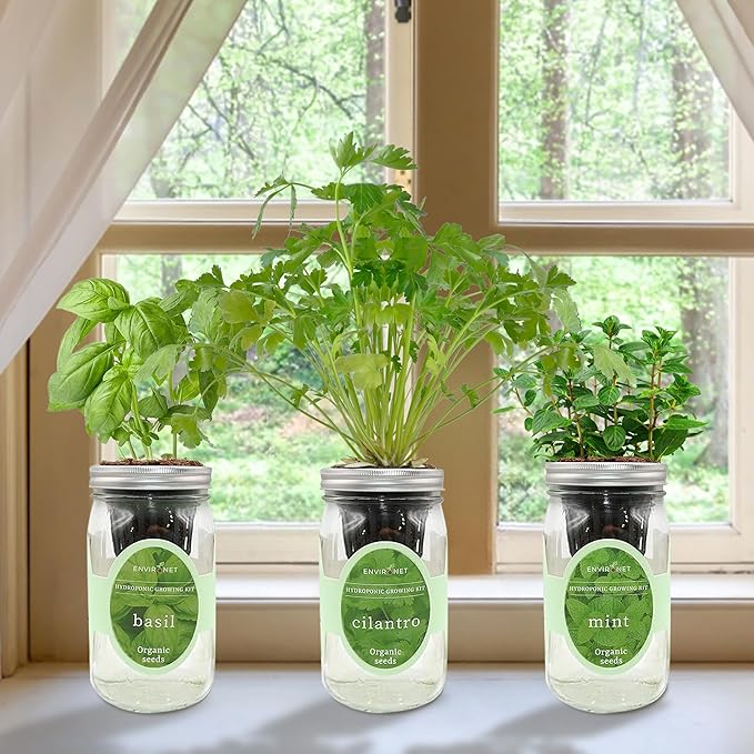 Environet Hydroponic Herb Growing Kit Set, Self-Watering Mason Jar Herb Garden Starter Kit Indoor, Window Herbs Garden, Grow Your Own Herbs from Organic Seeds (Basil, Cilantro and Mint)