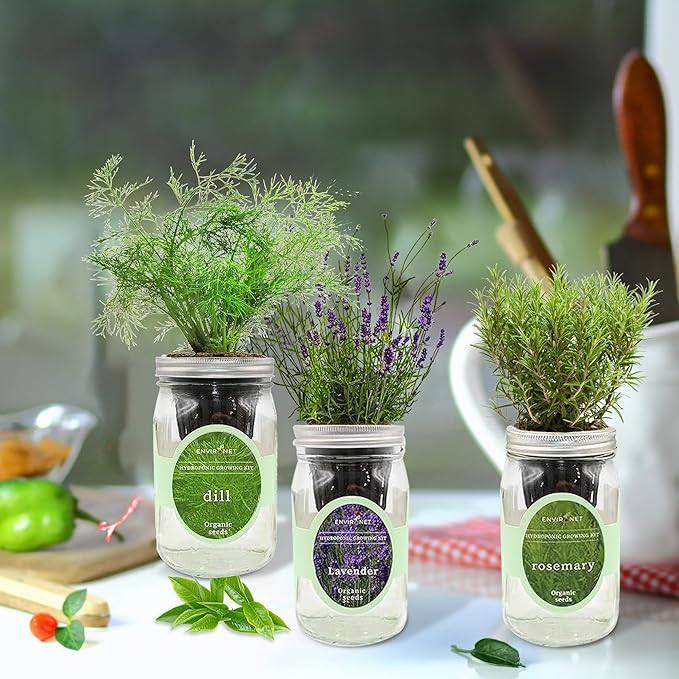 Environet Hydroponic Herb Growing Kit Set, Self-Watering Mason Jar Herb Garden Starter Kit Indoor, New Christmas Gift for Mom (Dill, Lavender & Rosemary)