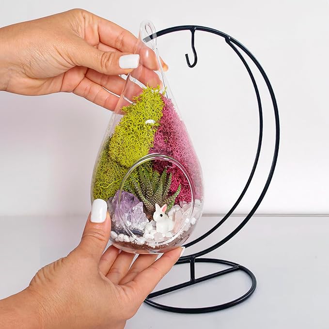 Creations by Nathalie 7" DIY Teardrop Terrarium Kit with Live Plants - Hanging Glass Planter with Stand for Adults & Kids - Build a Mini Ecosystem with Moss, Crystals, Tools - Made in The USA
