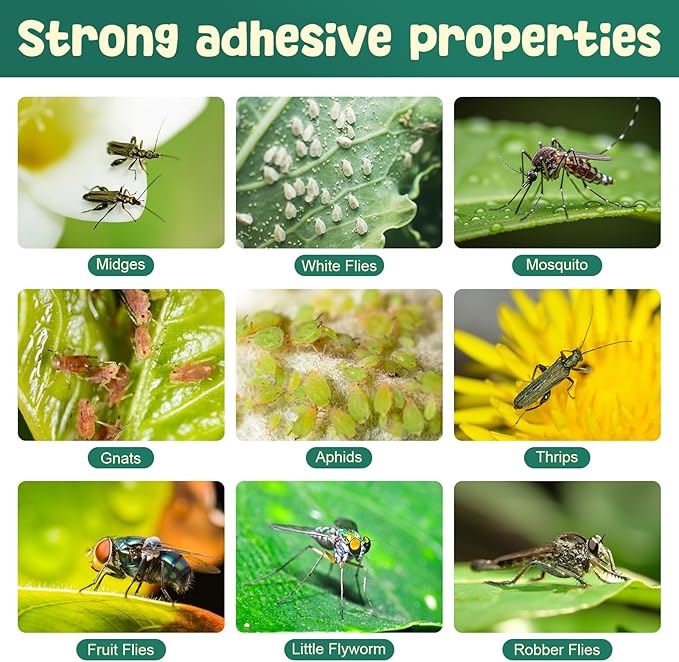 Mysora 12 Pcs Fruit Fly Traps Fungus Gnat Sticky Traps Yellow Round Ring for Pot Plants Indoor Outdoor Mosquito Flying Insects (L)