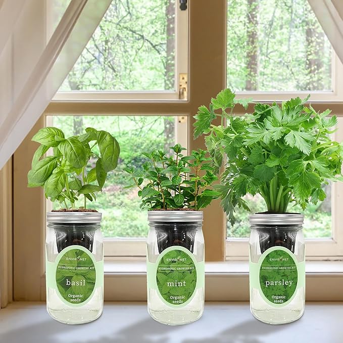 Environet Hydroponic Herb Growing Kit Set, Self-Watering Mason Jar Herb Garden Starter Kit Indoor, Windowsill Herbs Garden, Grow Your Own Herbs from Organic Seeds (Basil, Mint, Parsley)