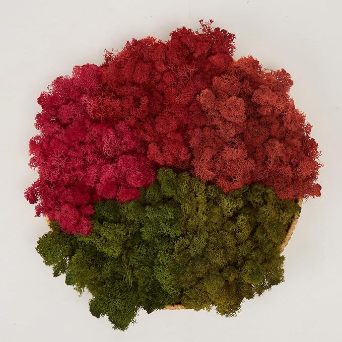 prefleur Preserved Reindeer Moss Natural Green DIY Kit Gardenning Art Wall Decor Florist Decor Easter Table Decor Wedding